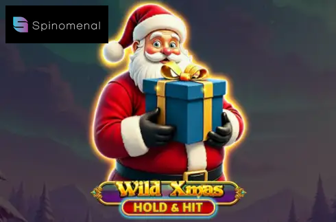 Wild Xmas Hold & Hit